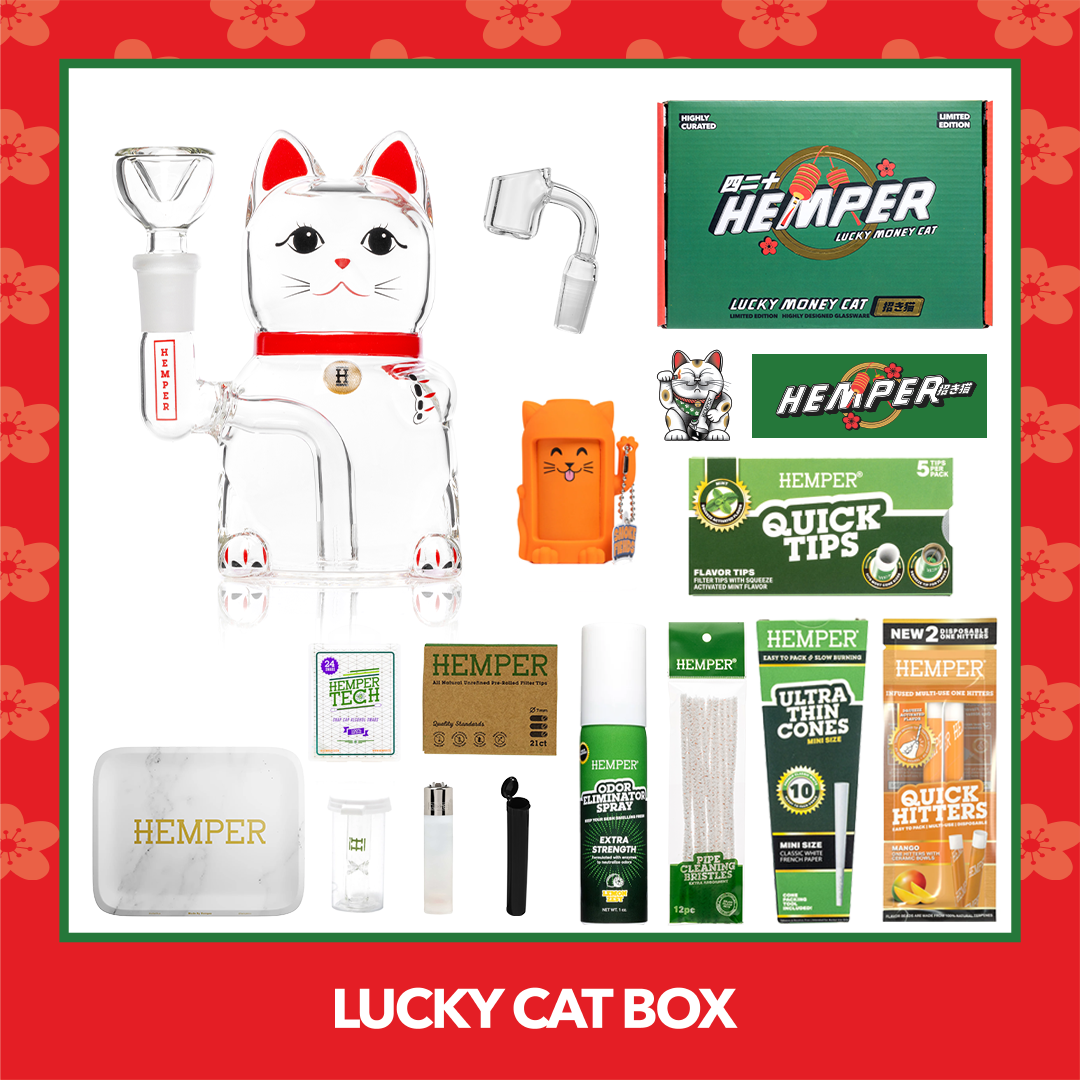 Lucky Cat Box