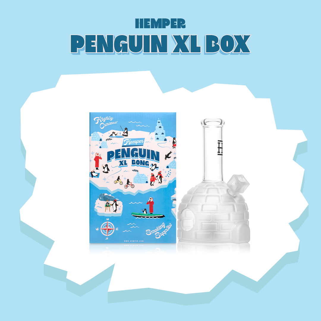 Penguin Ingloo XL Bong Box