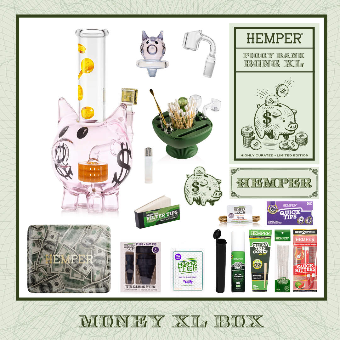 Piggy Bank XL Bong Box