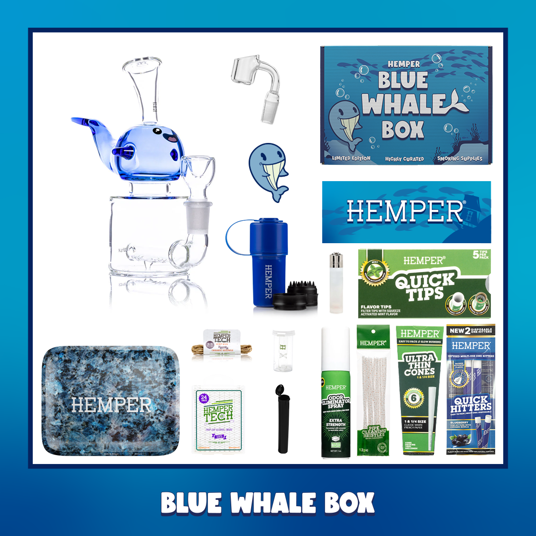 Blue Whale Bong Box