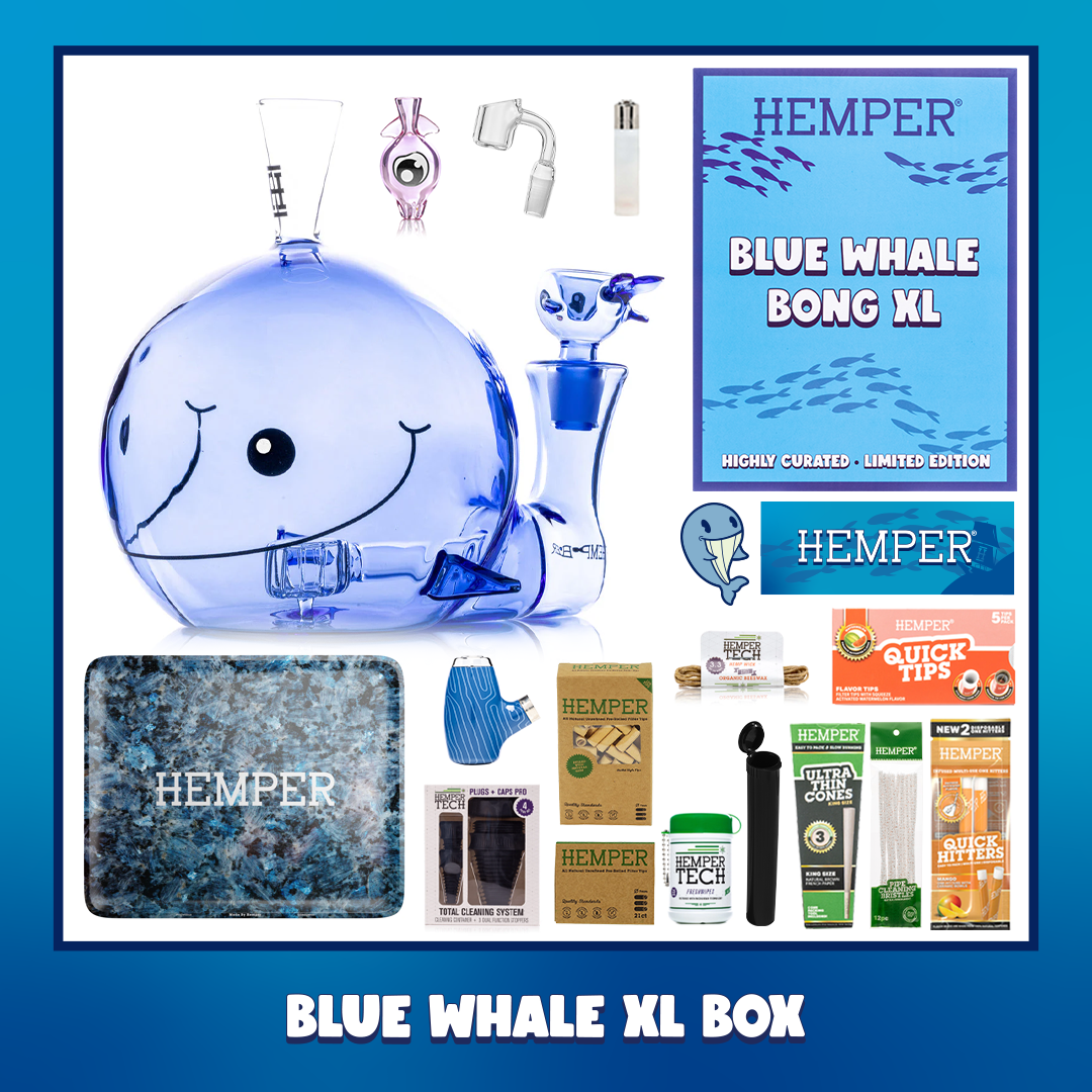 Blue Whale XL Bong Box