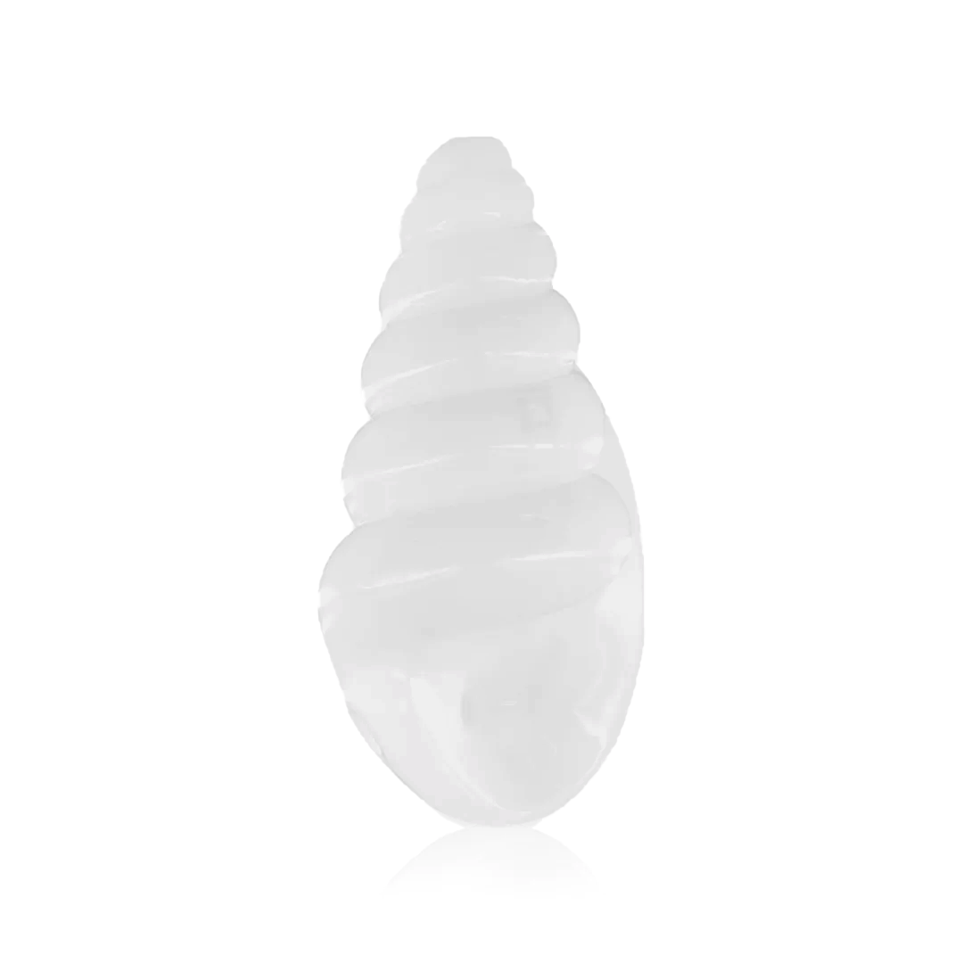 SeaShell Hand Pipe